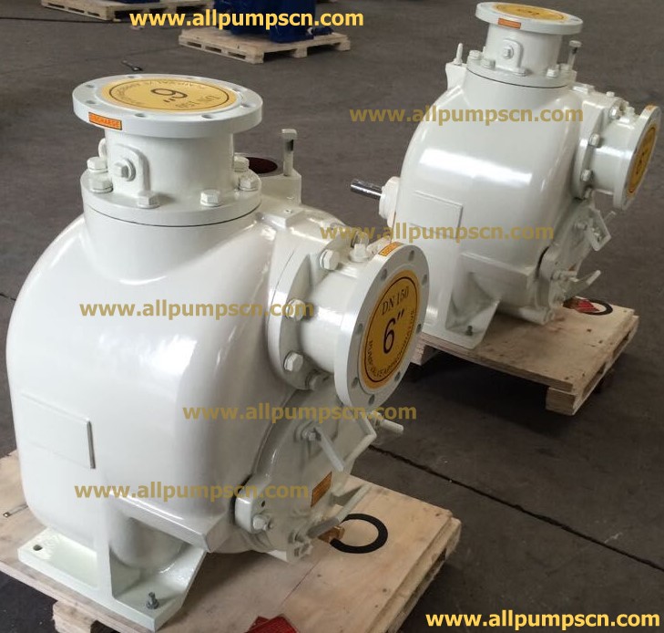 p6_ss316_centrifugal_chemical_pump.jpg